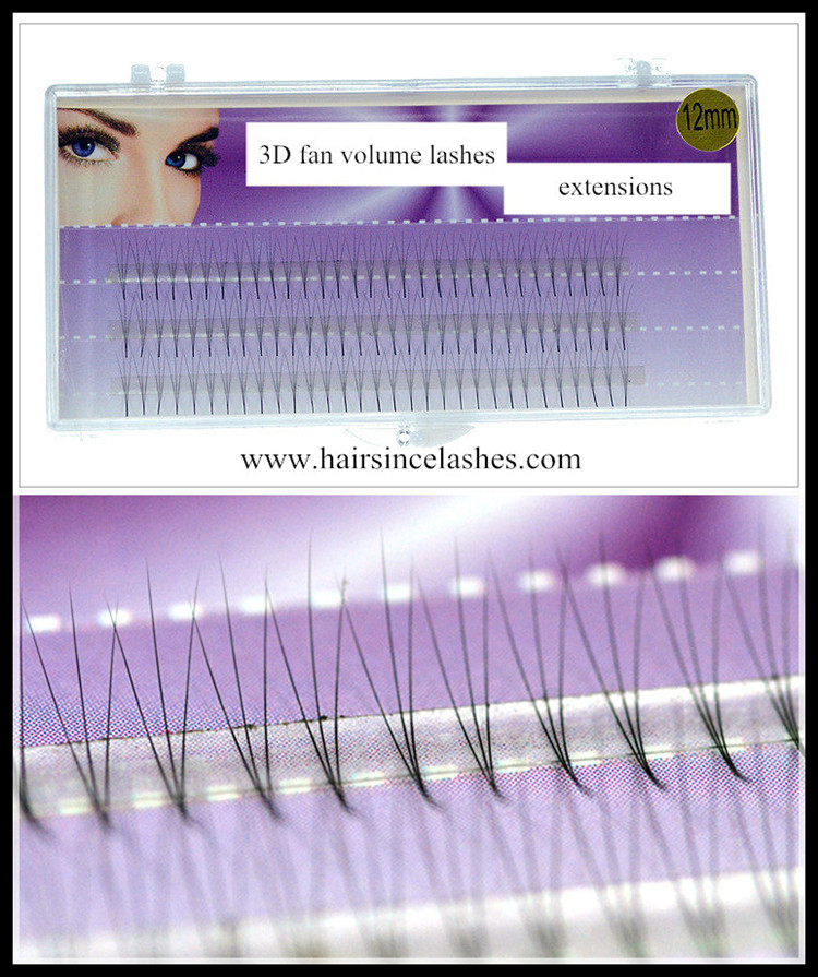 3D fan lashes extensions, silk hair lashes extensions wholesale price