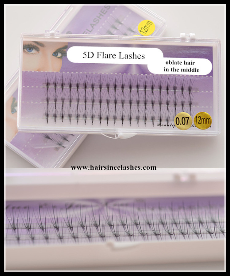 Oblate hair in the middle 5D flare lashes extensions wholesale price